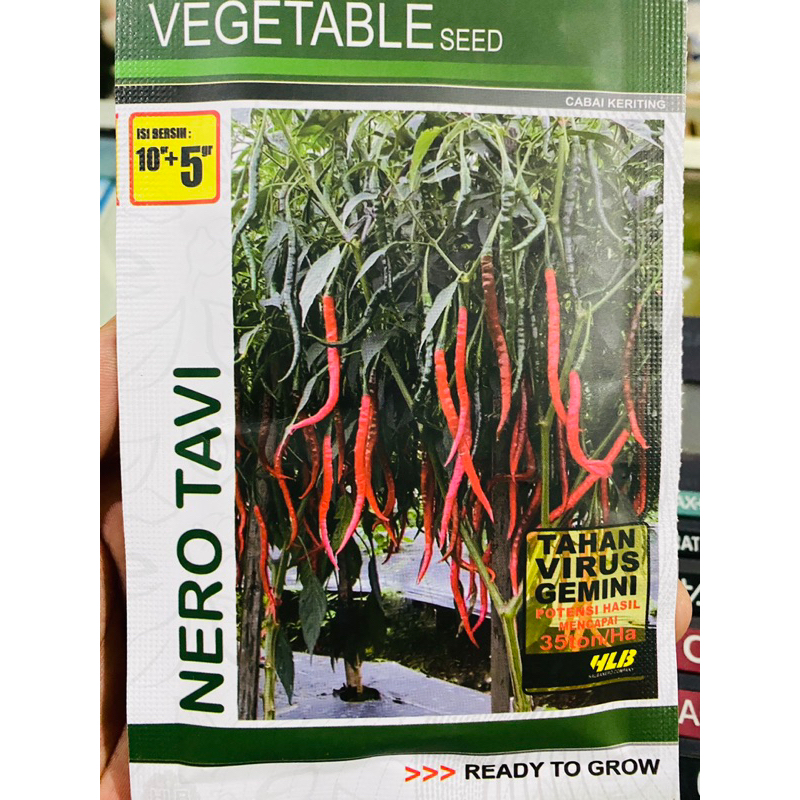 Benih cabe Merah keriting NERO TAVI 15Gr Vegetable Seed