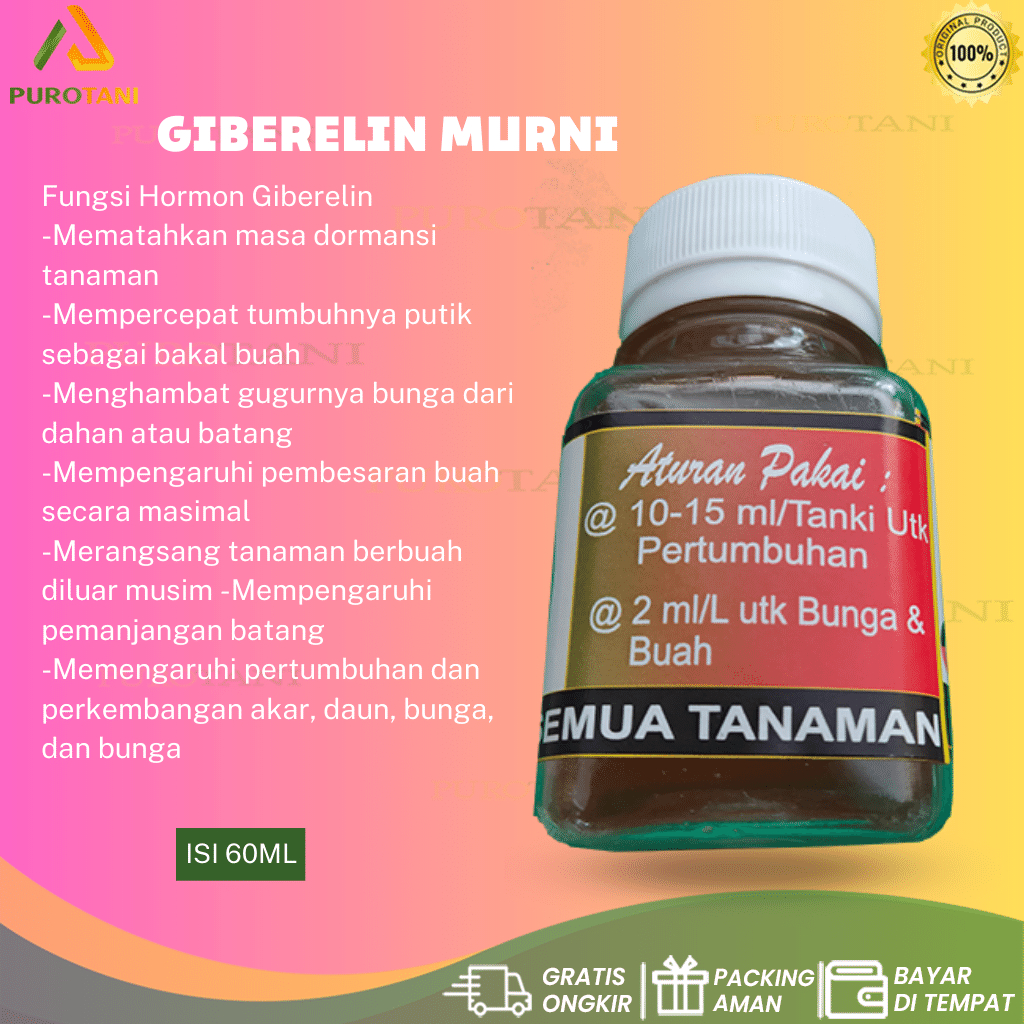 ZPT Giberelin Murni Gibberelin Murni Hormon Bunga Buah