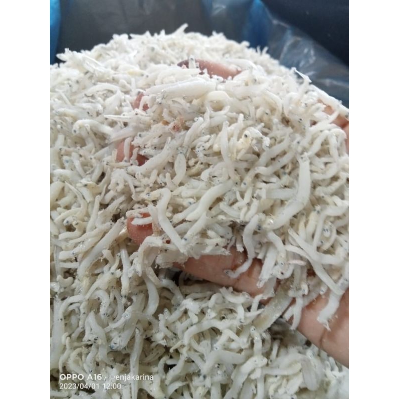 

Teri Nasi Medan Premium (1 Kg)