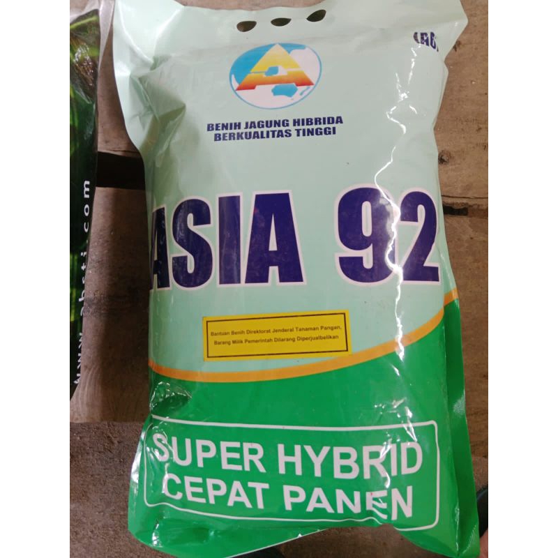 Benih jagung Hibrida Asia 92