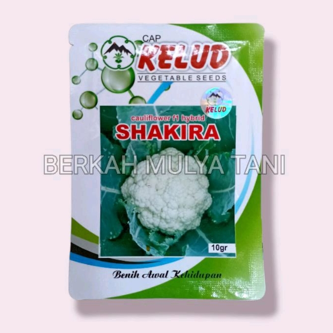Benih bunga kol SHAKIRA f1 kemasan 10 gram
