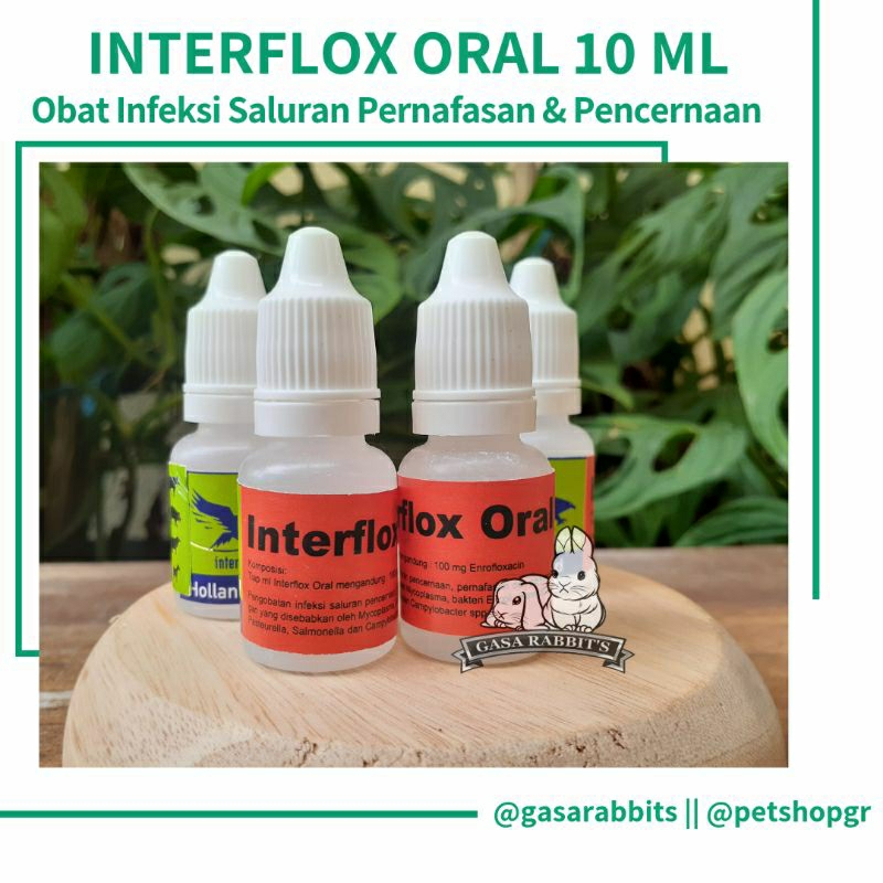 INTERFLOX ORAL - OBAT KELINCI INTERFLOX - INTERFLOX OBAT KELINCI - OBAT MENCRET KELINCI - OBAT FLU K