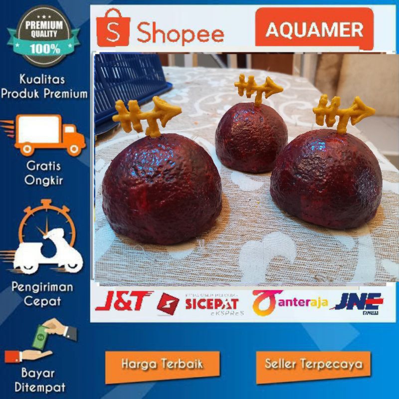 Rumah patrik hiasan akuarium rumah patrick ornamen hiasan spongebob