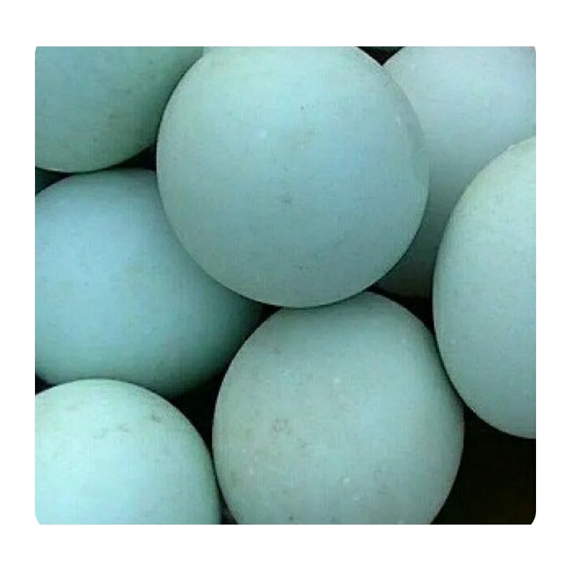 

telur bebek 1 butir
