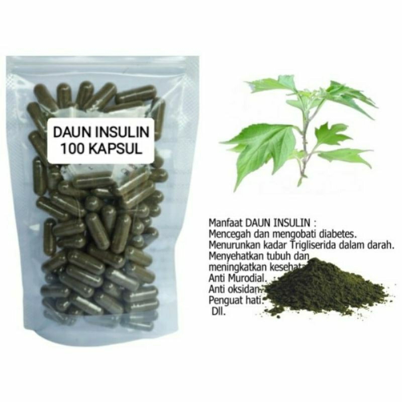 

DAUN INSULIN Kapsul Herbal Alami Kemasan Hemat - isi 100 pcs