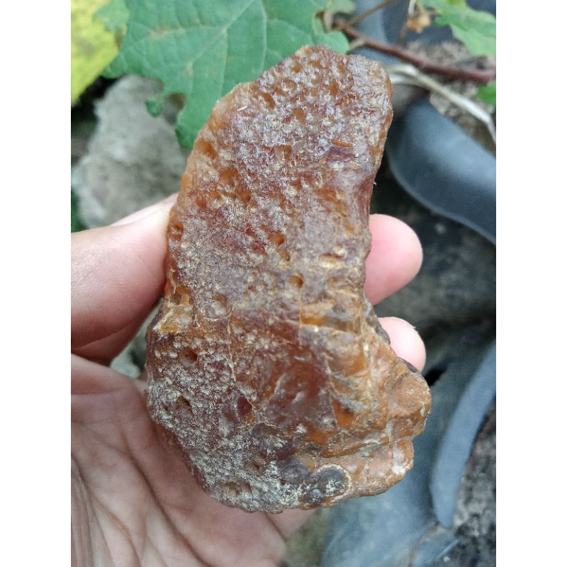 ✅ Batu Limau Manis - Limau Manih ( Rough / Bahan Batu Akik Natural asli Sumatera Barat - bukan bacan
