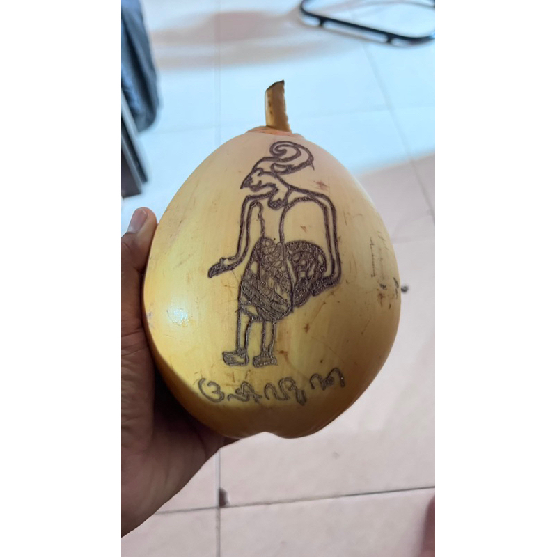 

Kelapa Tingkepan 7 Bulanan.
