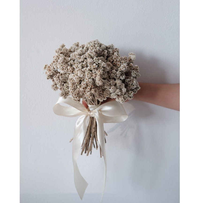 Edelweiss | Hand Bouquet Small - Buket bunga kering edelweiss edelweis dried flowers / pre wedding /