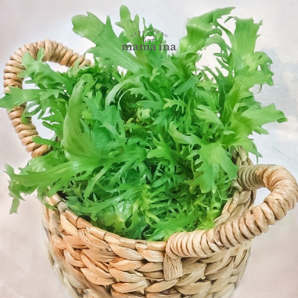 

Hydroponic Endive 250g
