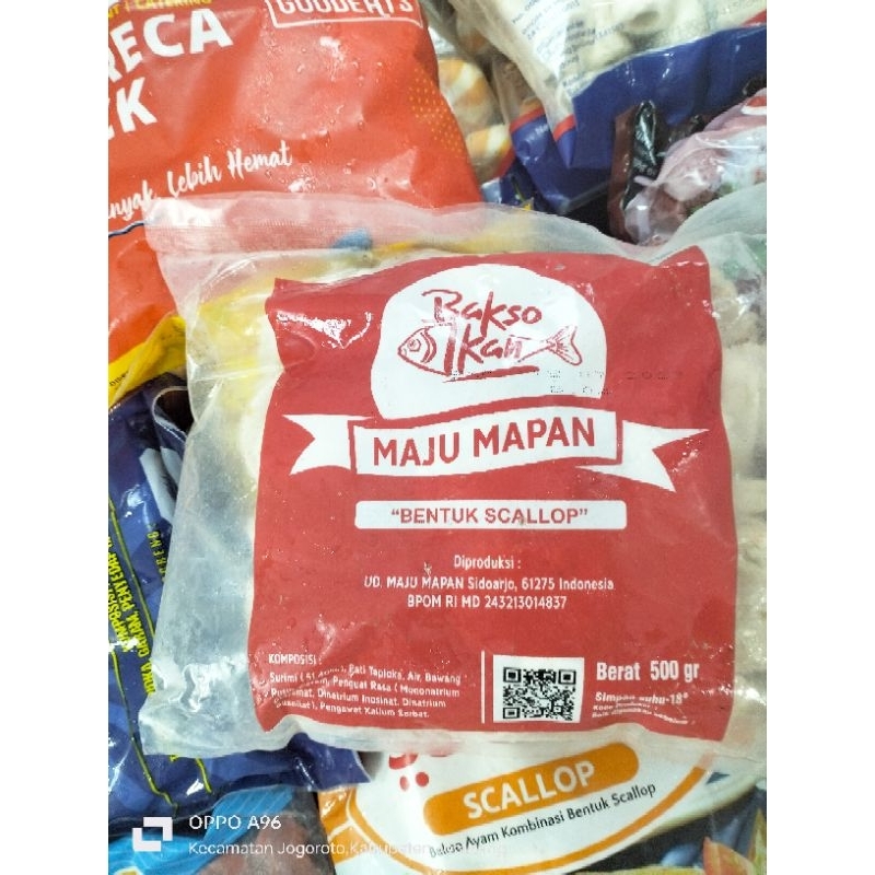 

scallop maju mapan