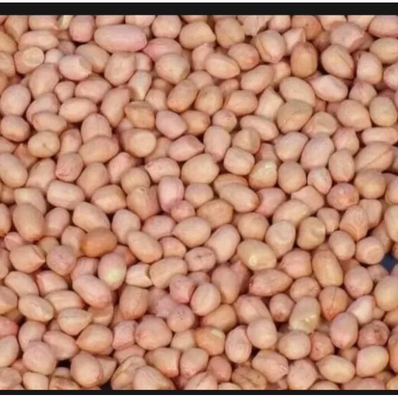 

[promo]kacang tanah kupas mentah asli madura