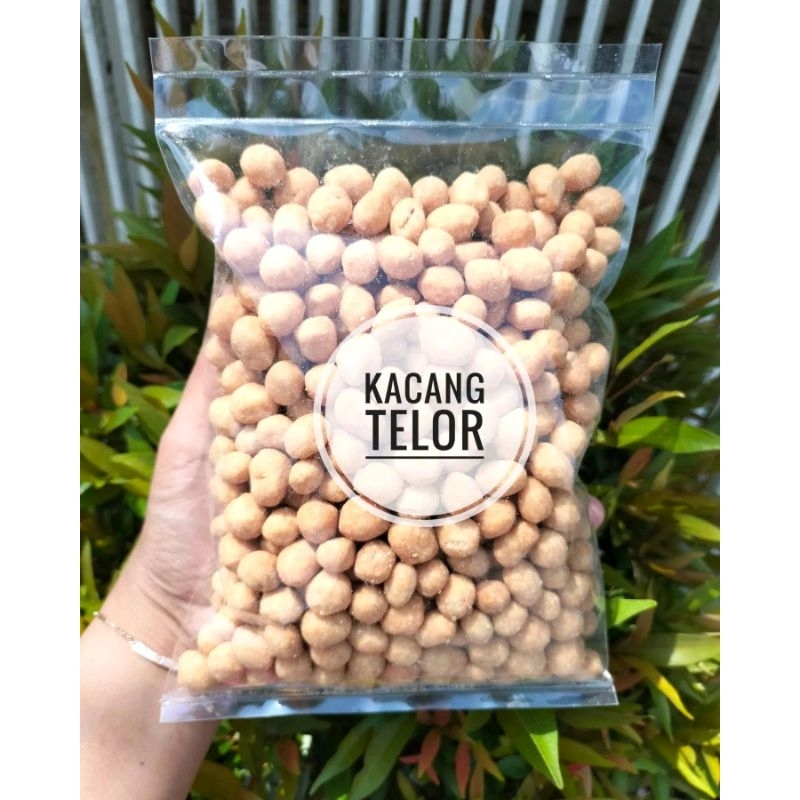 

KACANG TELOR LAYAR