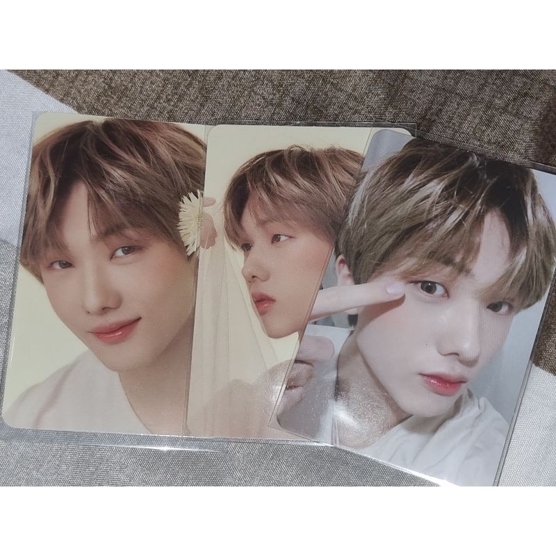 NCT Dream Jisung Candylab v4