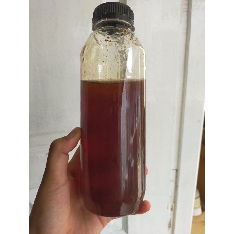 

Madu Hutan Asli Akasia Carva Riau | Madu Asli 1 kg | 100% Asli