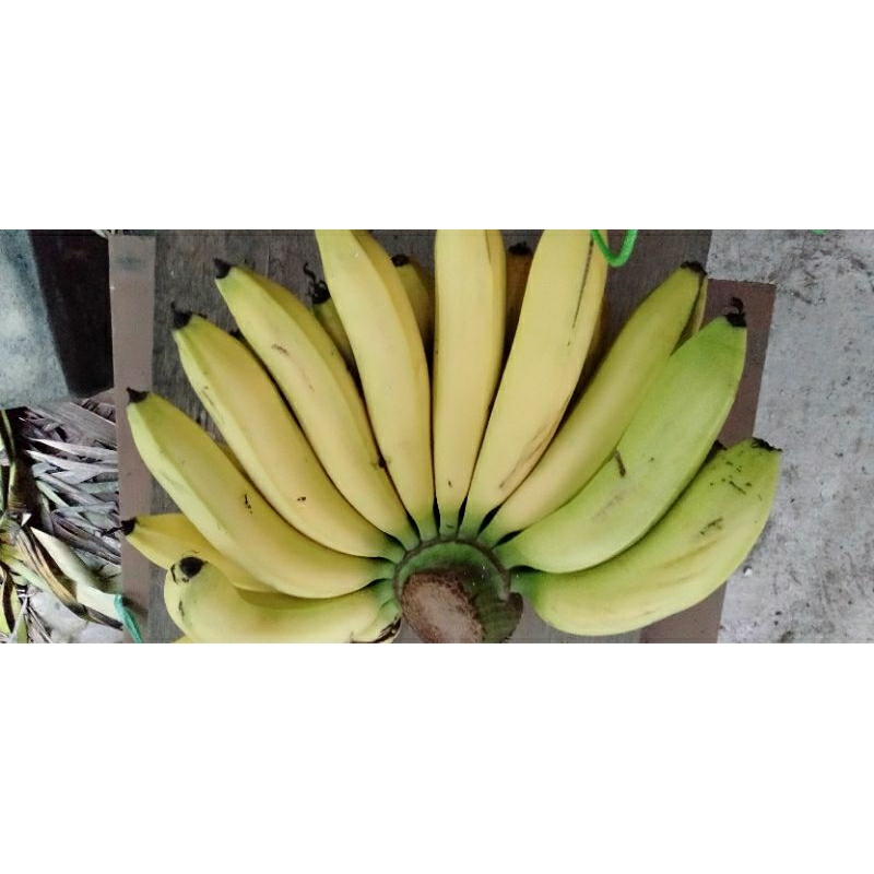 

Buah Pisang Ambon sisir @