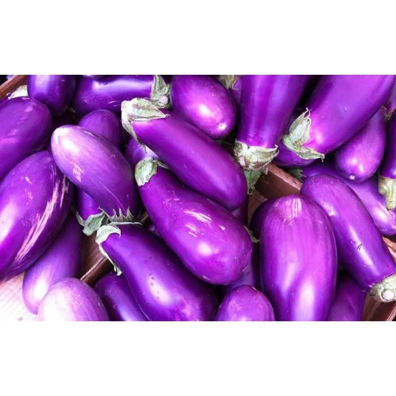 

Sayur terong ungu