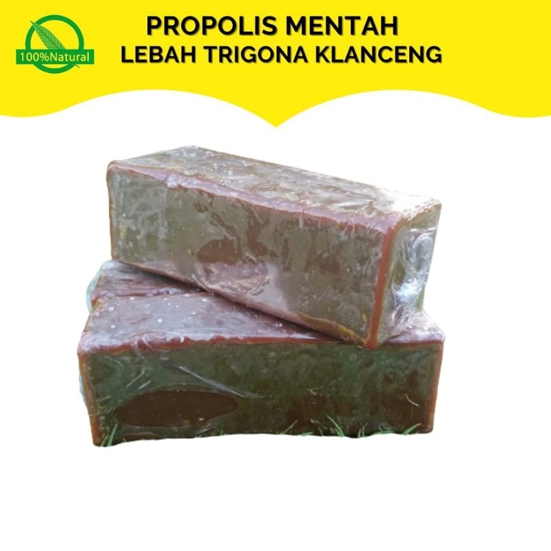 Propolis Lebah Klanceng - Propolis Mentah (Bersih ) Sarang Trigona Kelulut 100 gr Murni