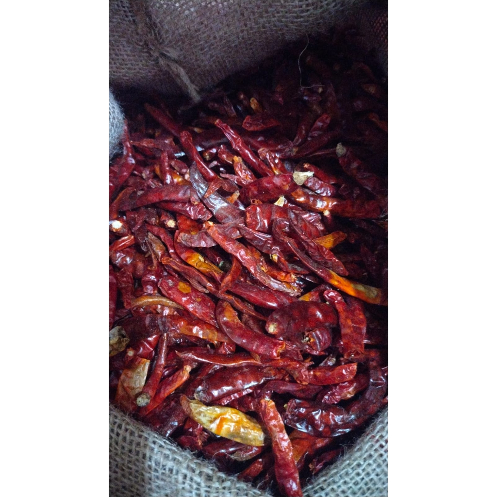 

Cabe Teja Kering IMPORT, CABE RAWIT PEDAS, TEJA