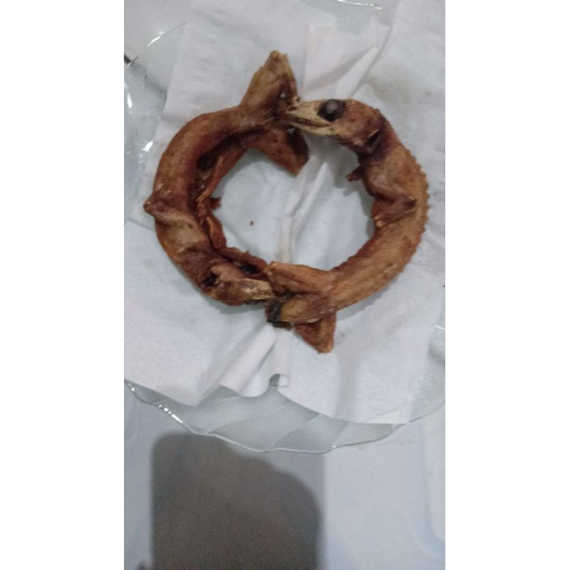 

Tokek Goreng / Daging Tokek Goreng 1pcs