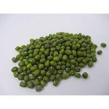 

kacang hijau