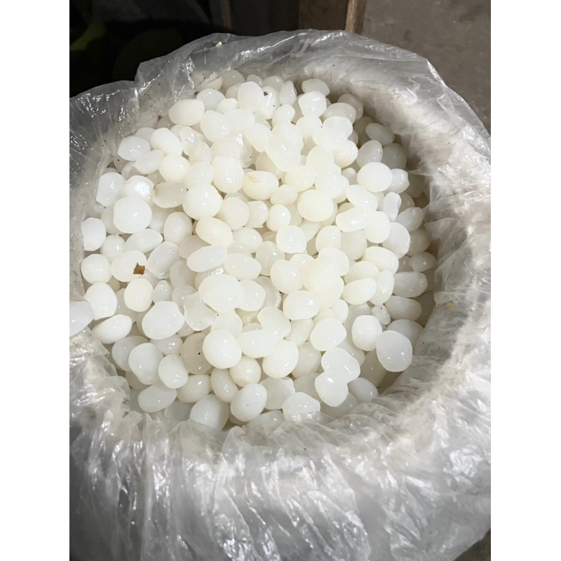 

KOLANG KALING FRESS SHOPEE INDONESIA