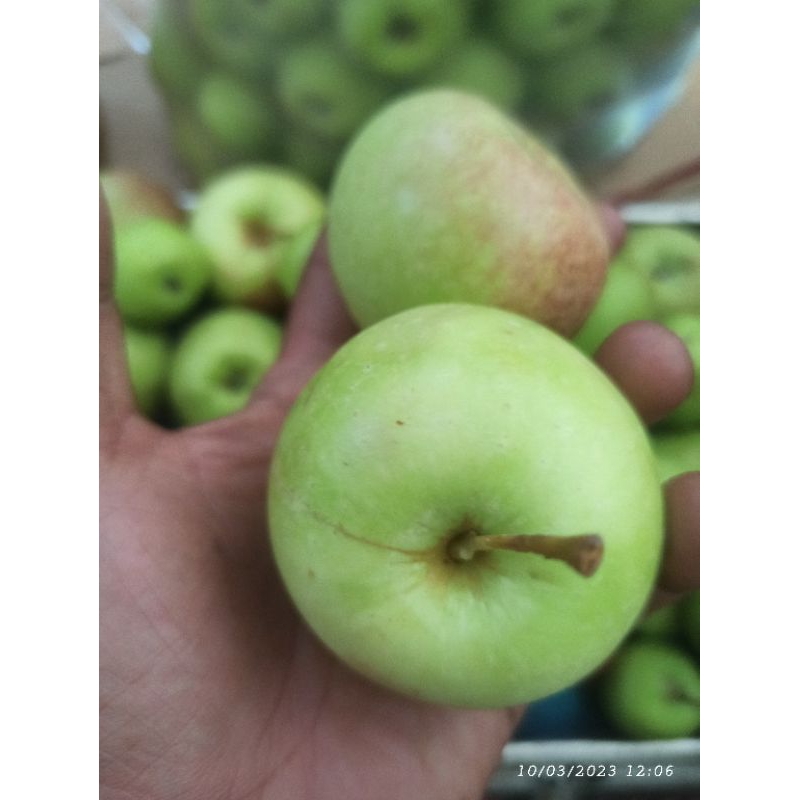 

Apel cherry Manalagi 1kg Isi 25-30buah n fresh