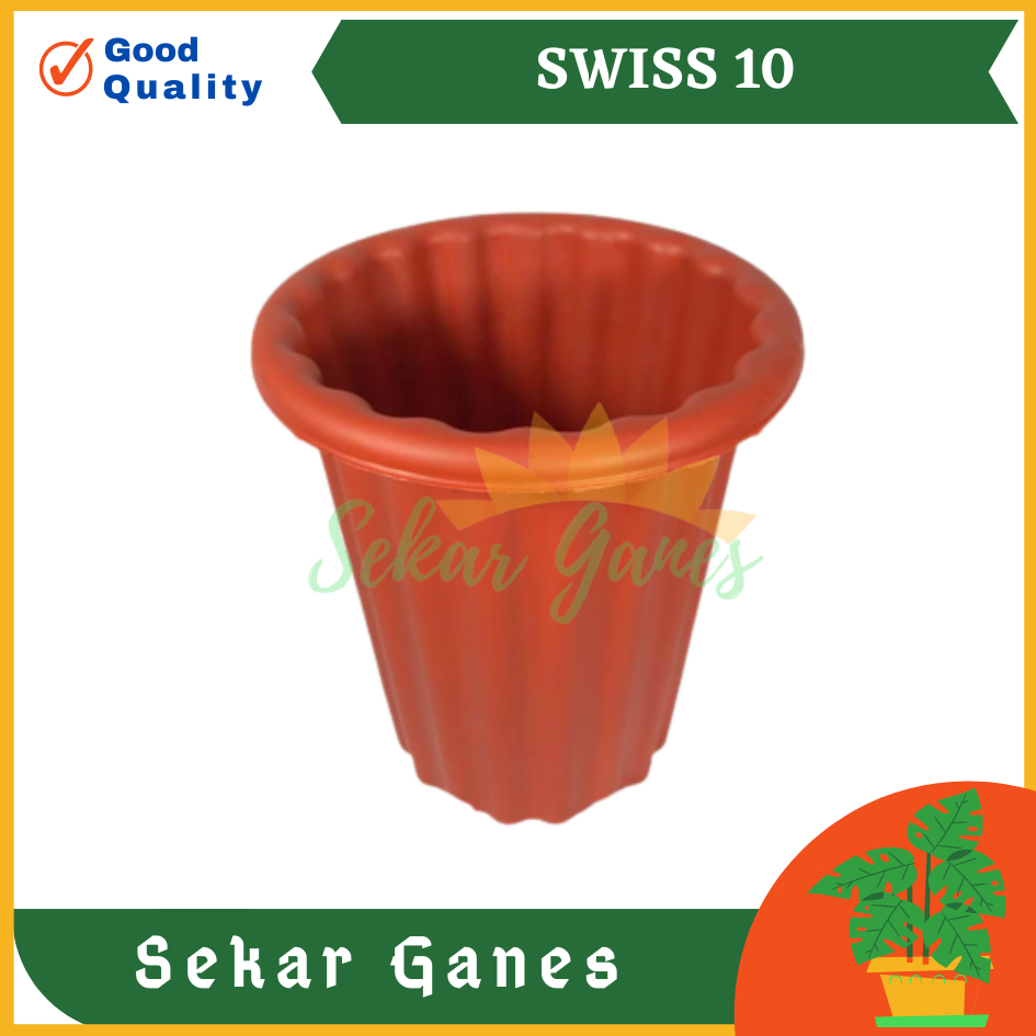 Sekarganes Pot Swiss 10 Merah Bata Coklat Pot Yogap 10 13 15 Coklat Merah Bata Bening Transparan Pot Yogap 17 18 19 Pot Yogap Murah Pot Bunga Tinggi Pirus Tegak Bagus Tebal