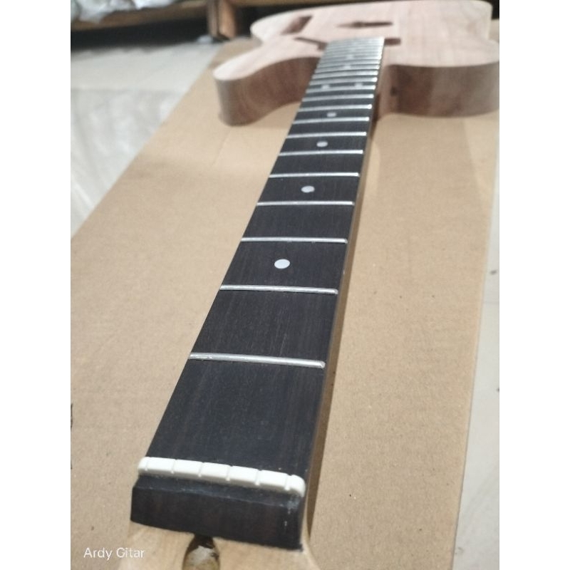 Body dan nack gitar Fender tele Telecaster elektrik