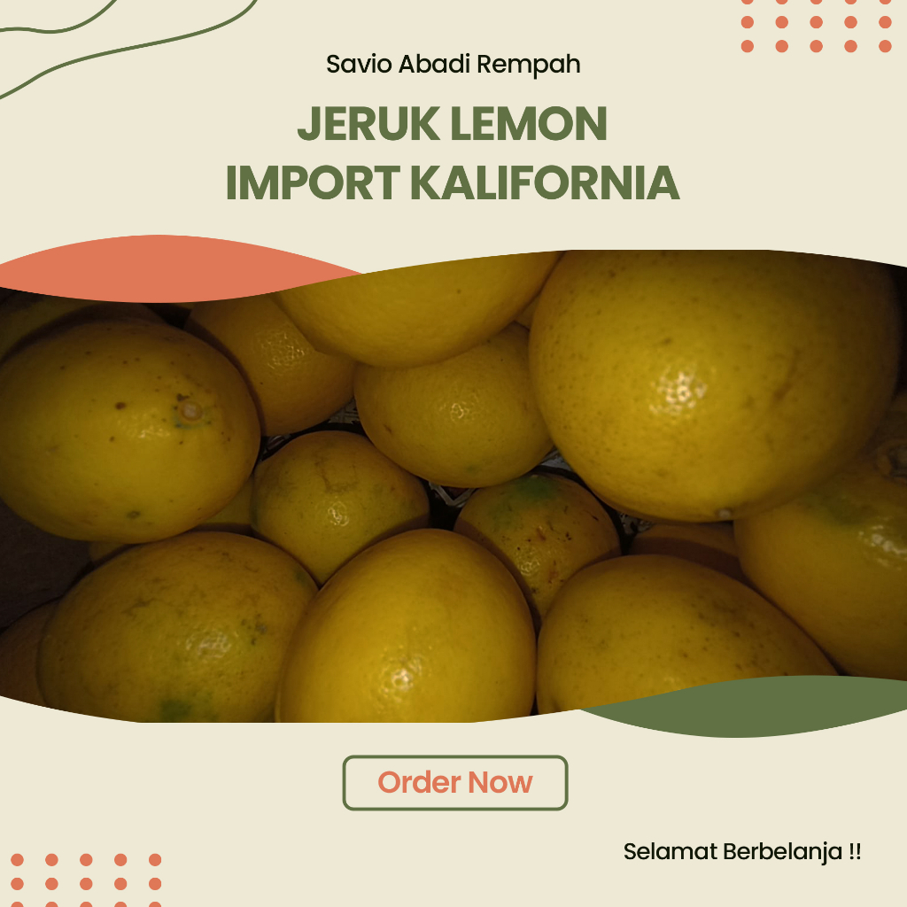 LEMON IMPORT FRESH 1 KG