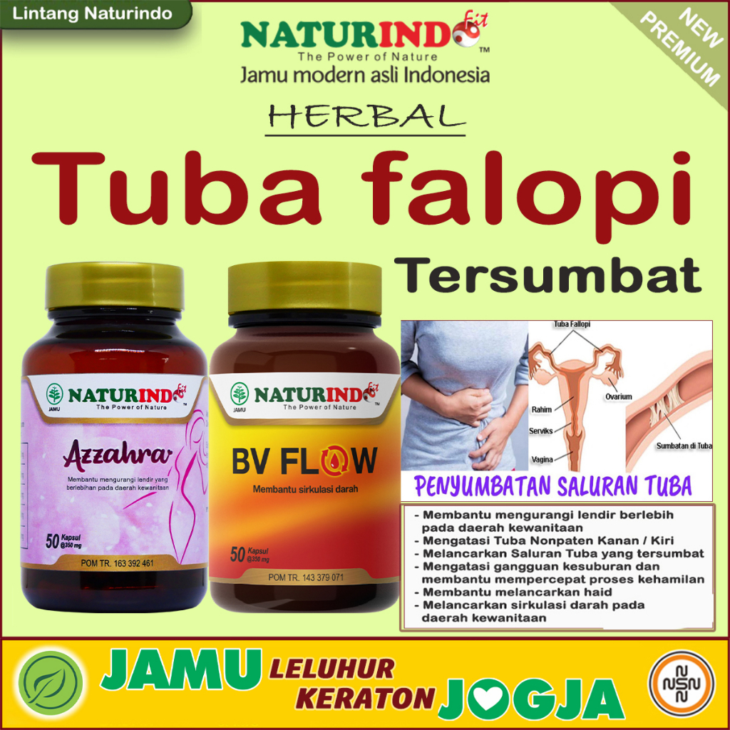HERBAL TUBA FALOPI TERSUMBAT HIDROSALPING TUBA TERSUMBAT NONPATEN BILATERAL NATURINDO
