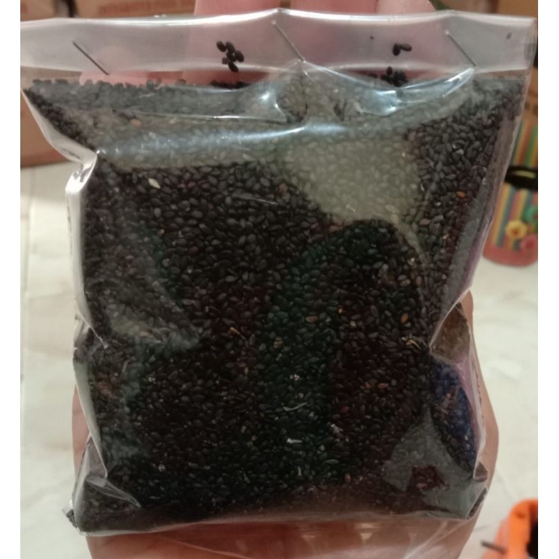 

SELASIH,BIJI SELASIH 100G