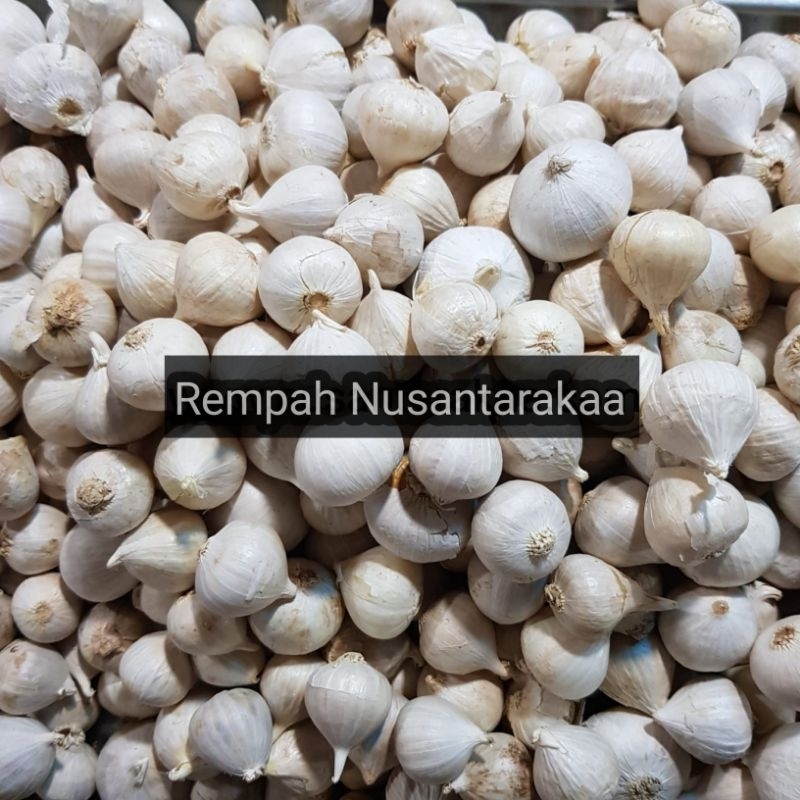 

Bawang putih tunggal kemasan 250 gram jumbo