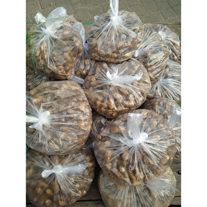 

kacang tanah