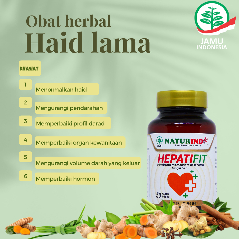 Obat Haid Lama Menstruasi Berkepanjangan Pendarahan herbal naturindofit