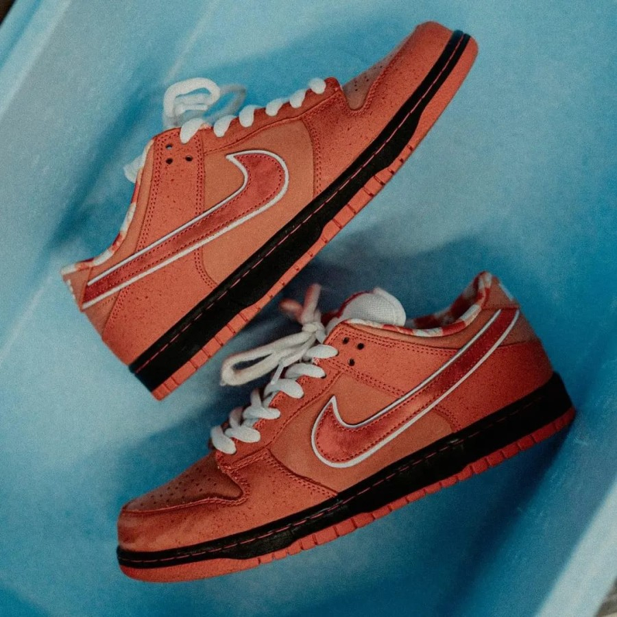 SB DUNK LOW CONCEPTS ORANGE LOBSTER FD8776-800