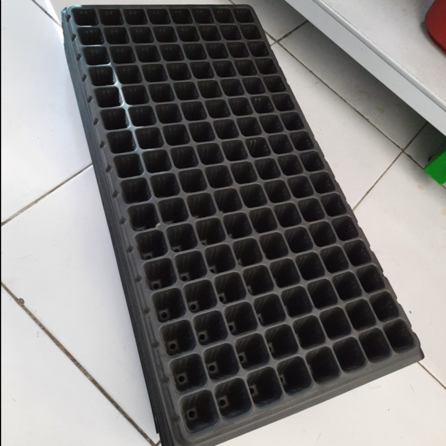 Tray semai kw 2