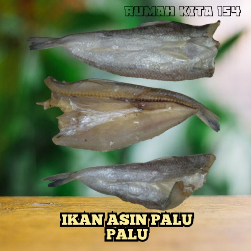 

Ikan Asin Palu Palu 250gram Oleh Oleh Khas Kota Sibolga