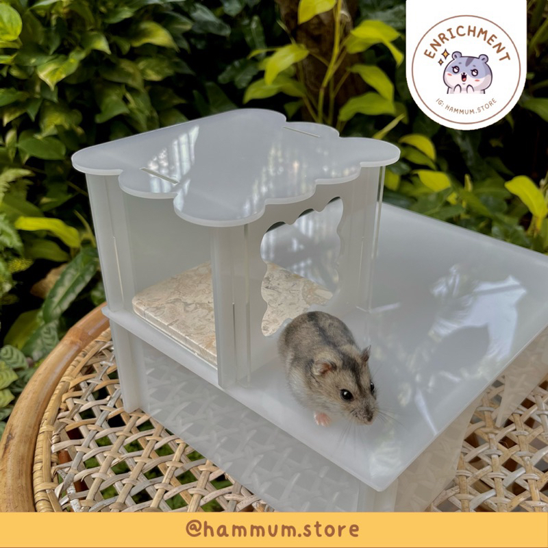 Rumah Hamster Syrian Akrilik | Acrylic Syrian Hamster House | Hideout Hamster