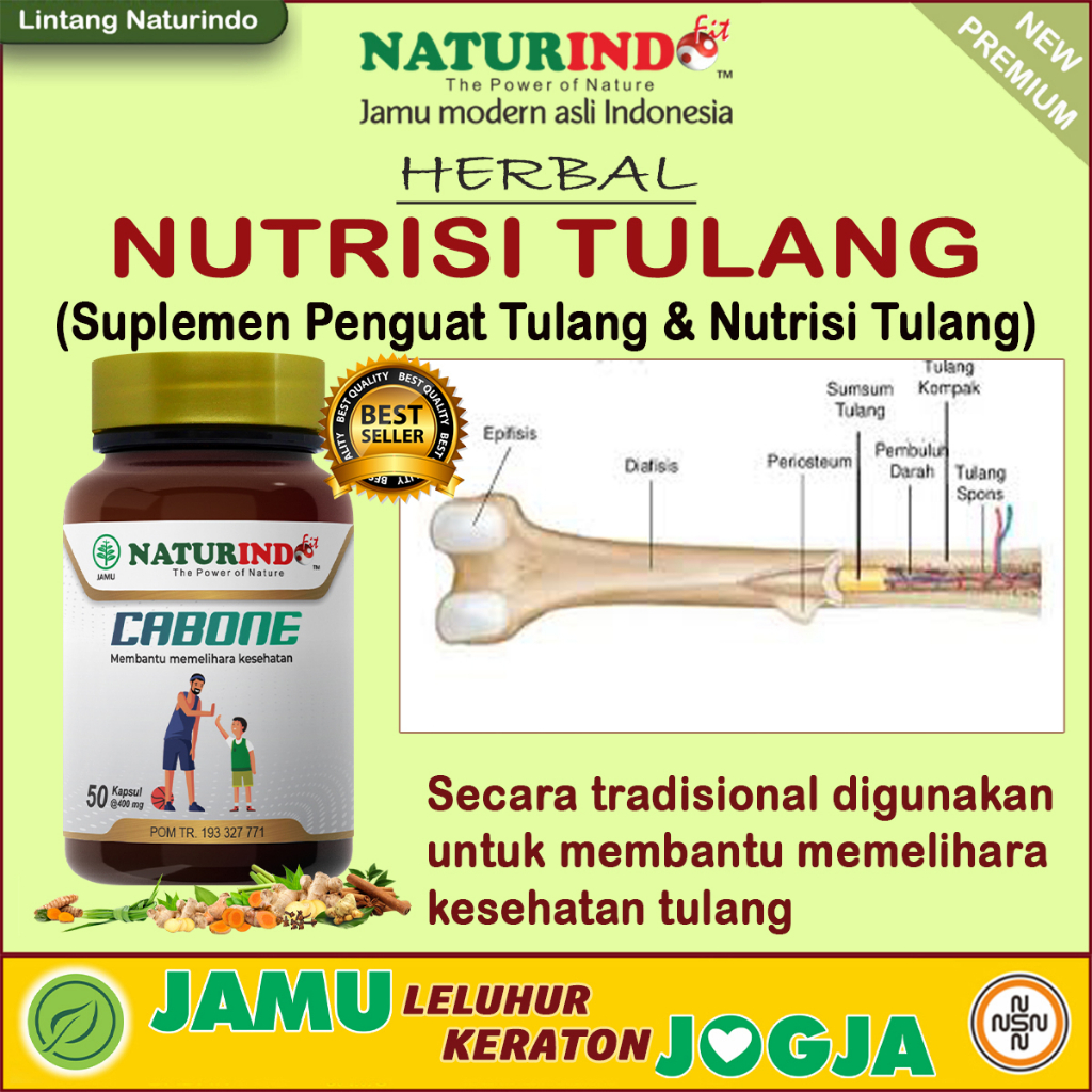 CABONE Suplemen Penguat Tulang Nutrisi Tulang Patah Tulang Retak Tulang Osteoporosis Naturindo