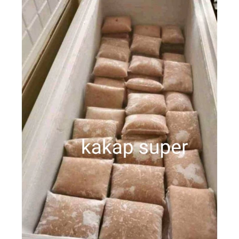 

ikangiling kakap super ikanlaut