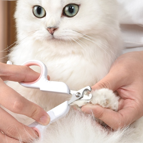 Gunting Kuku Anjing Kuku / Nail Clipper Dog Cat