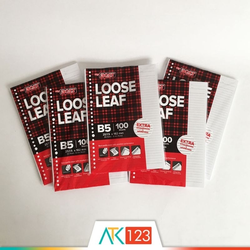 

BigBoss B5, sheets 100, Holes 26