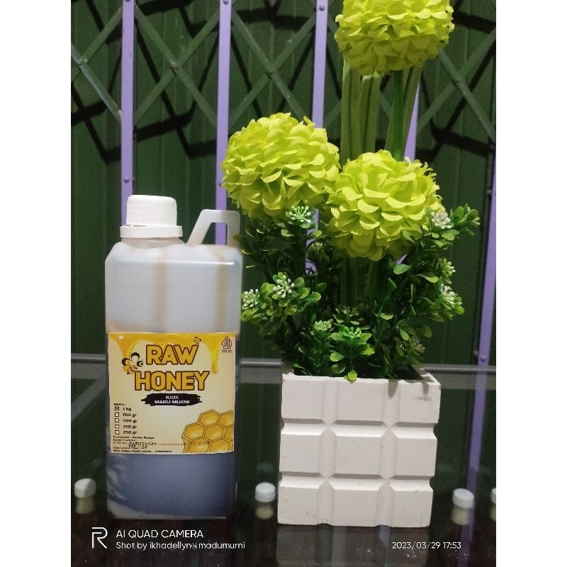

madu akasia