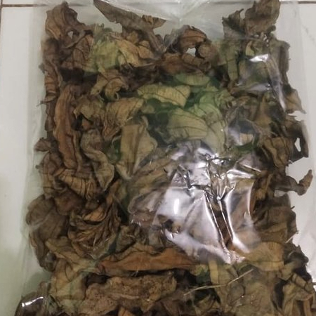 

HERBAL JAMU TERBAIK DAUN SENGGANI/HARENDONG-1 KG