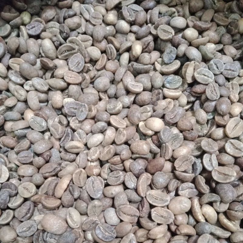 

Green bean Arabika Gunung Arjuno Malang Proses Natural Komersil