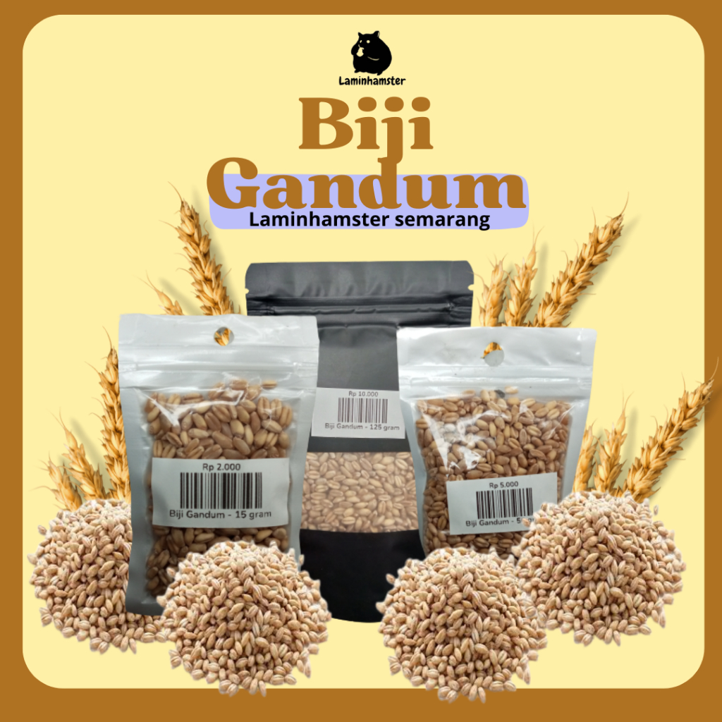 Biji Gandum - Snack Hamster