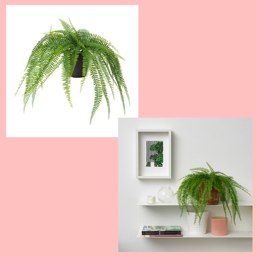 FEJKA Tanaman tiruan dalam pot, dalam/luar ruang digantung/paku-pakis, 12 cm, tanaman palsu, tanaman