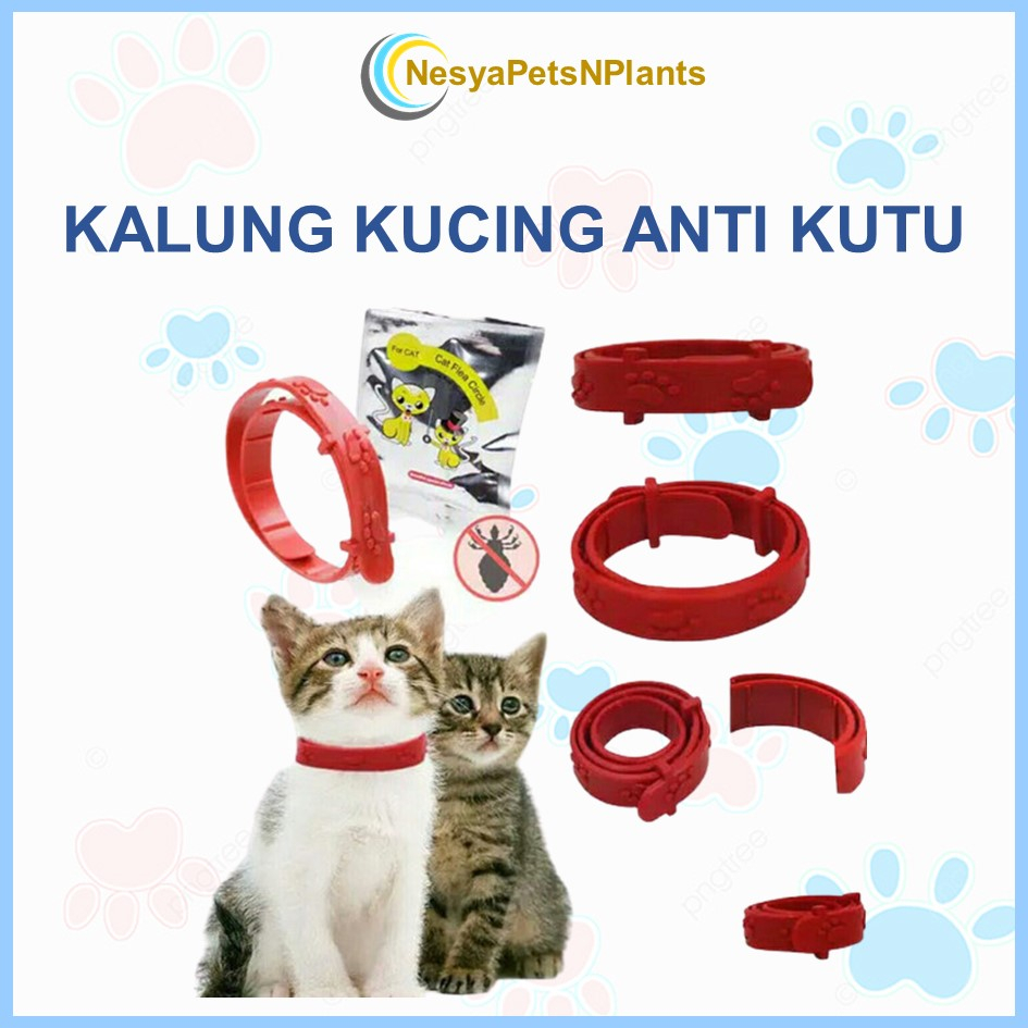 Kalung Kucing Anjing Anti Kutu Kalung Anti Nyamuk Kalung Kutu Kucing No Flea