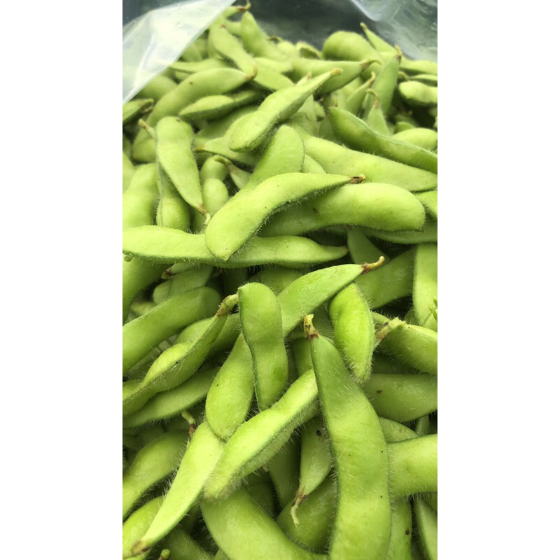 

edamame fresh bandung langsung dari kebun