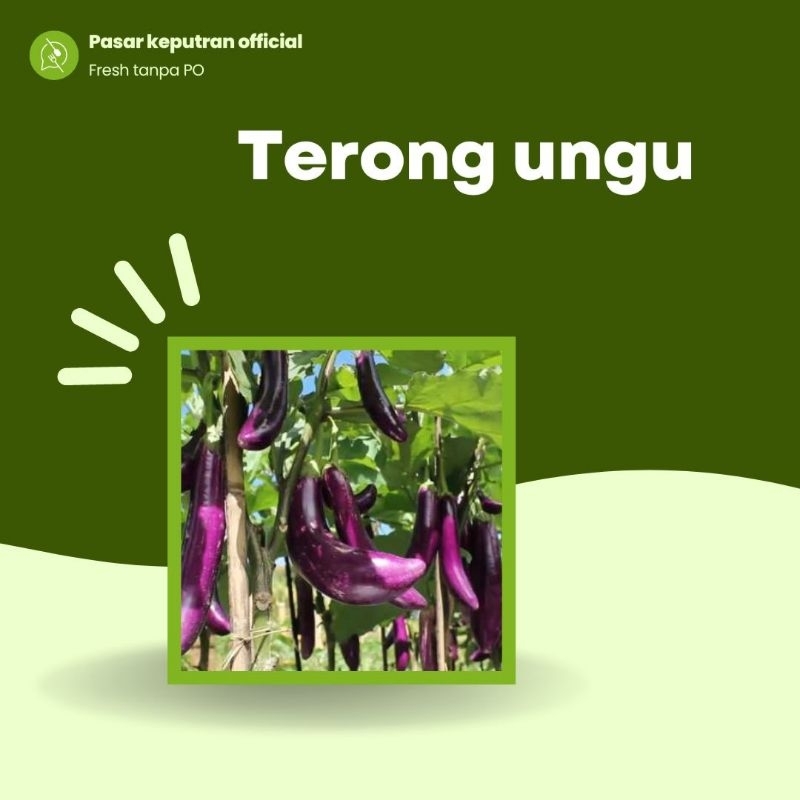 

Terong ungu 500gr,sayur terong ungu segar